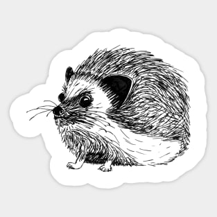 Hand Drawn Hedgehog Sticker